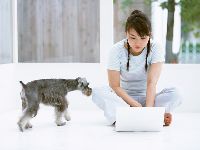 はじめてつくるホームページ…でもテンプレートを使って楽々♪